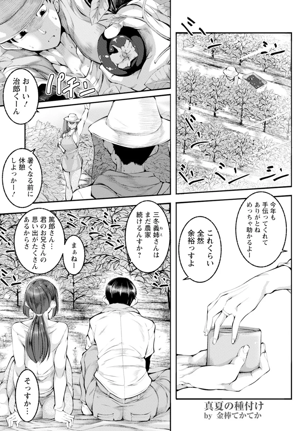 真夏の種付け 【単話】