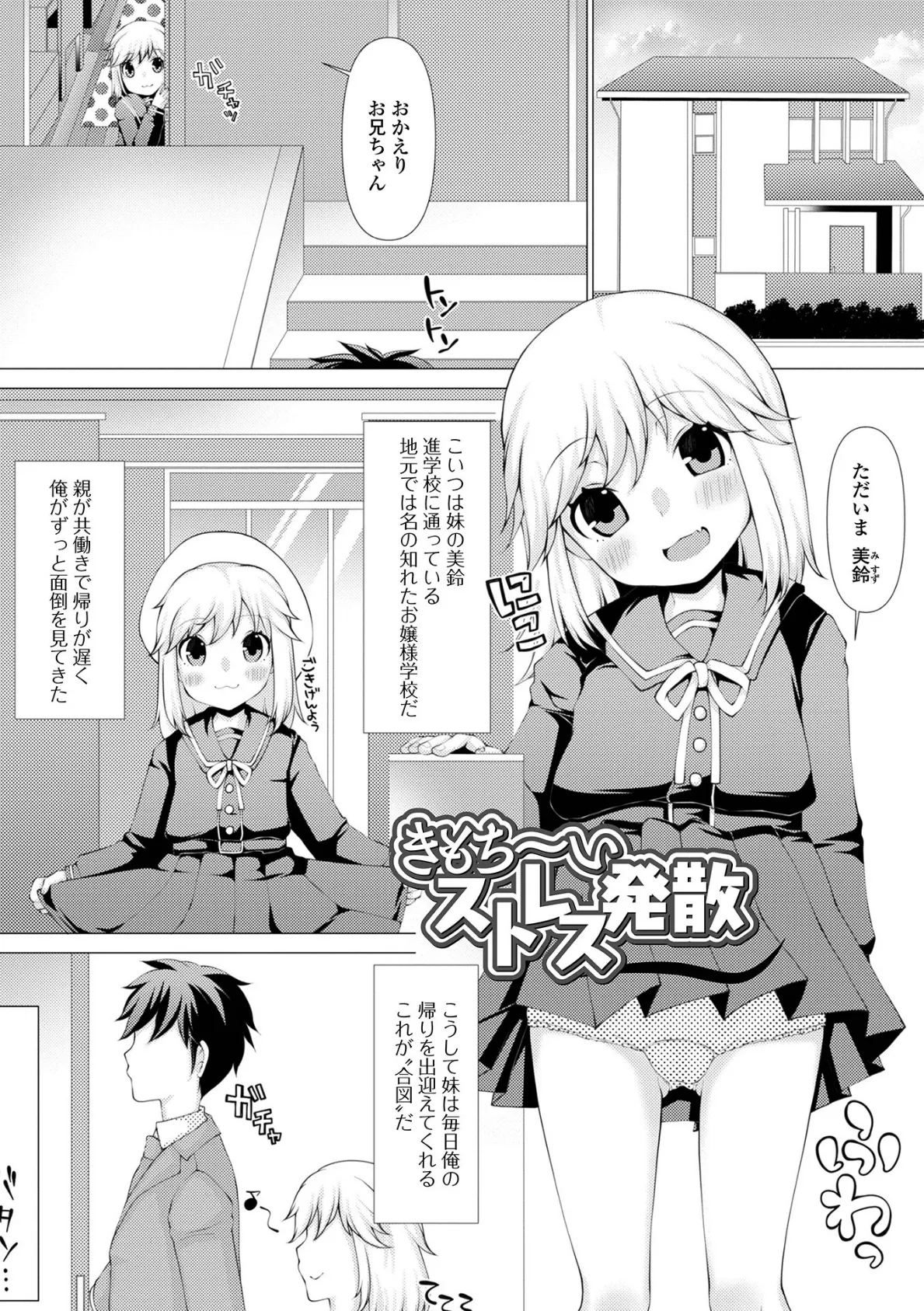 お兄ちゃんと私の内緒の色々… 27ページ