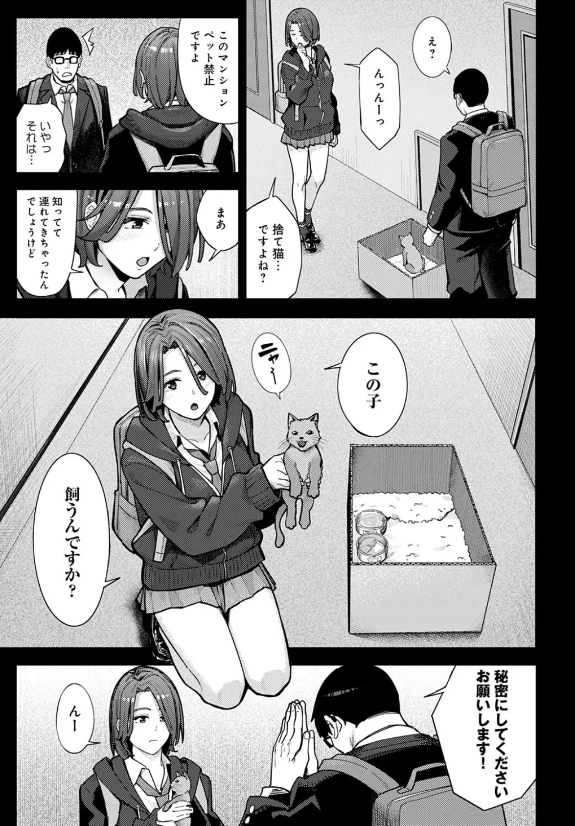 猫と好奇心とJK 5ページ