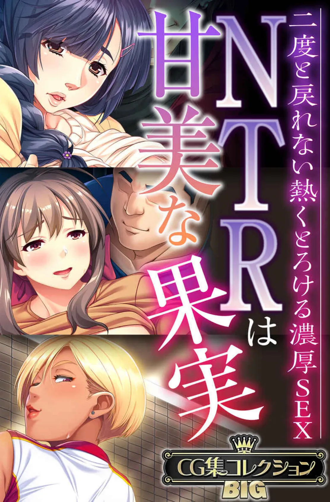 NTRは甘美な果実〜二度と戻れない熱くとろける濃厚SEX〜【CG集コレクションBIG】